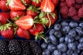 Organic strawberries, raspberries, blueberries, blackberries on a separate dish close-up on a solid concrete background. Royalty Free Stock Photo