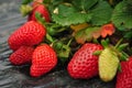 Organic Strawberry Farm for Picking