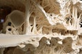 Organic structure of organic mushroom mycelium