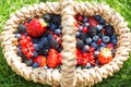 Organic summer berries. Selective focus