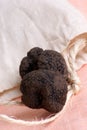 organic summer truffle and a gunny sack