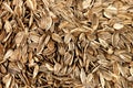 Organic sunflower seed. Food background