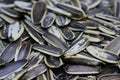 Organic sunflower seed. Sunflower crack seeds. Close up. Texture or background concept Royalty Free Stock Photo