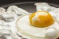 Organic Sunnyside up Egg Royalty Free Stock Photo