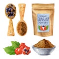 Organic superfood set with guarana fruits, green leaves