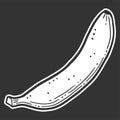 Organic sweet banana. Vector concept in doodle and sketch style