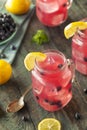 Organic Sweet Blueberry Lemonade