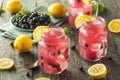 Organic Sweet Blueberry Lemonade