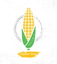 Organic Sweet Corn On The Cob Creative Vector Design Element For Menu Design. Healthy Food Illustration Concept