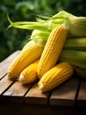 Organic sweet corn, sweet corncob