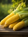 Organic sweet corn, sweet corncob