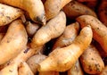Organic sweet potatoe