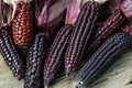 Organic sweet purple corn Royalty Free Stock Photo