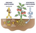 Organic and synthetic fertilizers with explained differences outline diagram