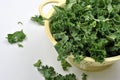 Organic tender leaf curly kale Royalty Free Stock Photo