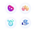 Organic tested, Bacteria and Dirty water icons set. Leaf sign. Bio ingredients, Antibacterial, Aqua drop. Vector