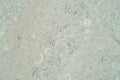 Organic texture of natural stone with prints of sea shells gray pinkish tone. Background