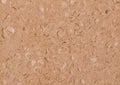 Organic texture of natural stone with prints of sea shells muted pink tone with gray brownish tint. Background