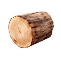 Organic thick Wood log isolated on white background Royalty Free Stock Photo
