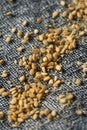 Organic Toasted Garlic Gomasio Sesame Seeds