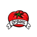 Organic tomato illustration on white background. Organic food banner