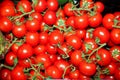 Organic tomatoes as a background Royalty Free Stock Photo