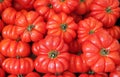 Organic tomatoes background Royalty Free Stock Photo