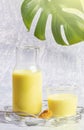 Organic turmeric milk. Bottle and glass with golden milk on figured transparent plate. Light grey background, monstera