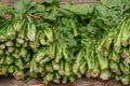 organic turnip greens bundles in a traditional market