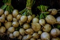 Organic Turnips on Display at Farmers Market Royalty Free Stock Photo