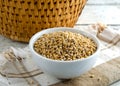 Organic Uncooked Steel Cut Oats in bowl on napkin.  Also know as pinhead oats and Irish oats. Royalty Free Stock Photo