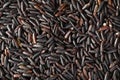 Organic unpolished black rice grains as a source of complex carbohydrates and high in antioxidants.