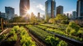 organic urban farm