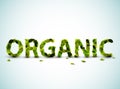 Organic - vector word made from fresh green leafs