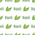 Organic vegan healthy food eco restaurant labels nature diet product seamless pattern background vector illustration Royalty Free Stock Photo