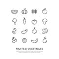 Organic Vegan Healthy Shop or Store. Green Natural Vegetable and Fruit Symbols, Farmer Market Countryside