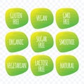 Organic Vegan Vegetarian Natural Smoothie Gluten Sugar Lactose GMO Free green gradient vector icon. Isolated label set