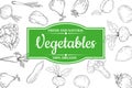 Organic vegatables anf fruits design poster. Hand drawn doodles illustration fresh healthy food. Vector sketch retro