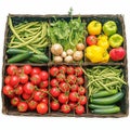 Organic vegetable assortment in basket tomatoes, cucumbers, eggplants, beans Royalty Free Stock Photo