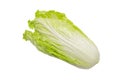 Organic vegetable chinese cabbage Royalty Free Stock Photo