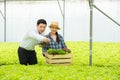 Organic vegetable farm,asian couple farmers inspect organic vegetables in the farm, vegetable salad, vegetable farm for commercial