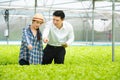 Organic vegetable farm,asian couple farmers inspect organic vegetables in the farm, vegetable salad, vegetable farm for commercial