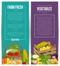 Organic vegetable farming flyers set