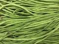 Chinese long bean for cooking ingredient