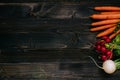 Organic vegetables background. Fresh harvested vegetables on the dark wooden background, top view, with copy space