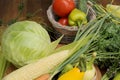 Organic vegetables closeup - carrot, cabbage, tomato