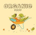 Organic vegetables concept