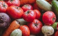 Organic vegetables with drops of water on the farm, farming concept. Growing organic products Royalty Free Stock Photo