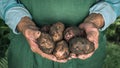 Organic vegetables. Farmers hands with freshly harvested vegetables