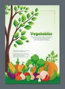 Organic Vegetables Flyer, with new and lovely design